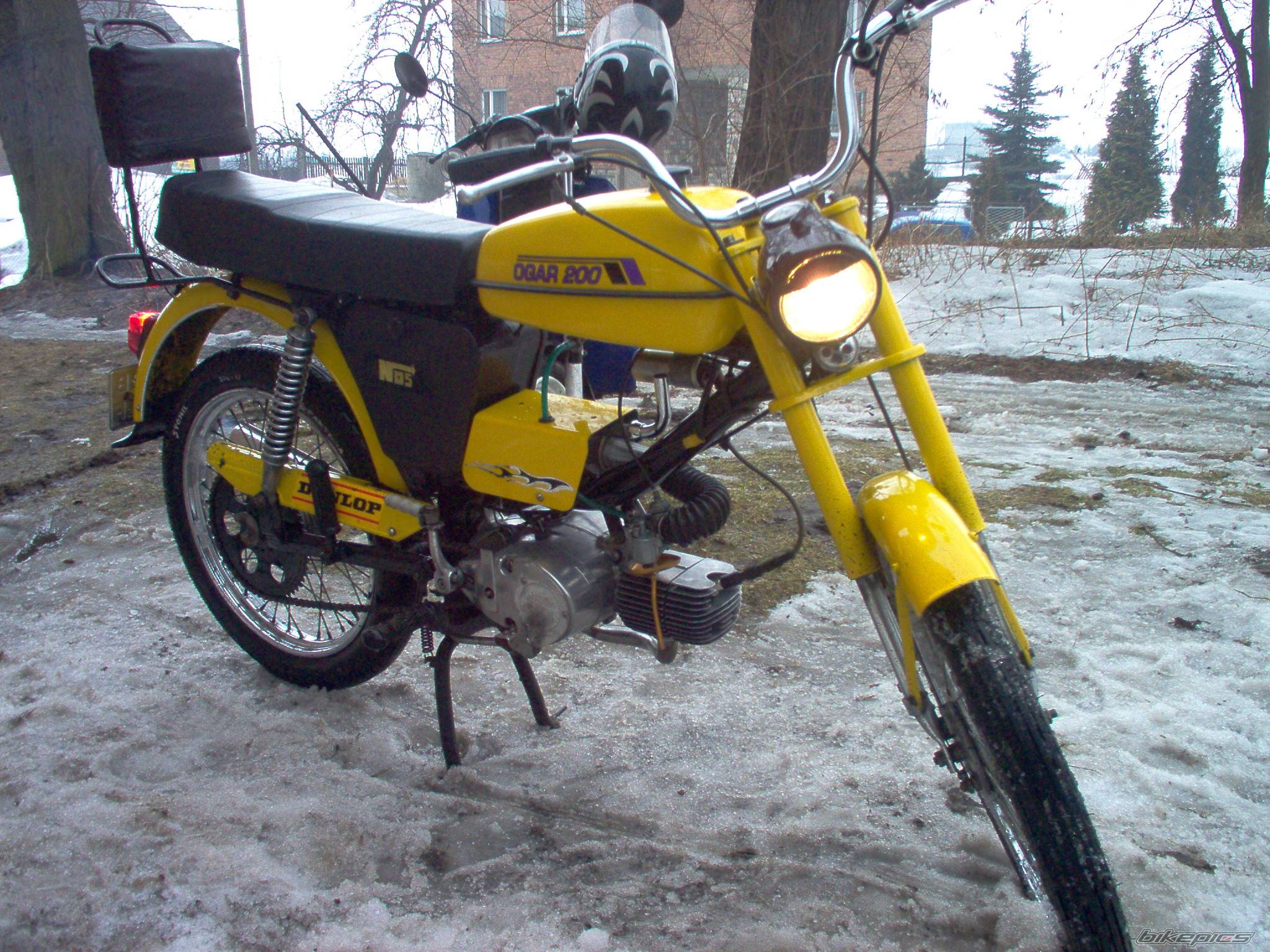Photo 545742