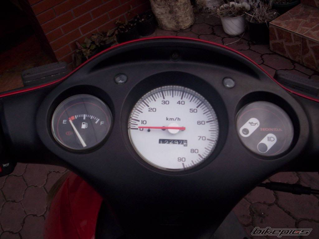 Photo 545781