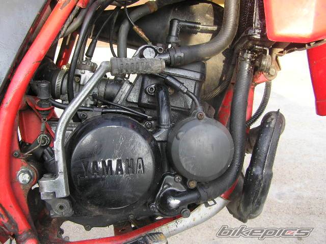Bike Photo 545876