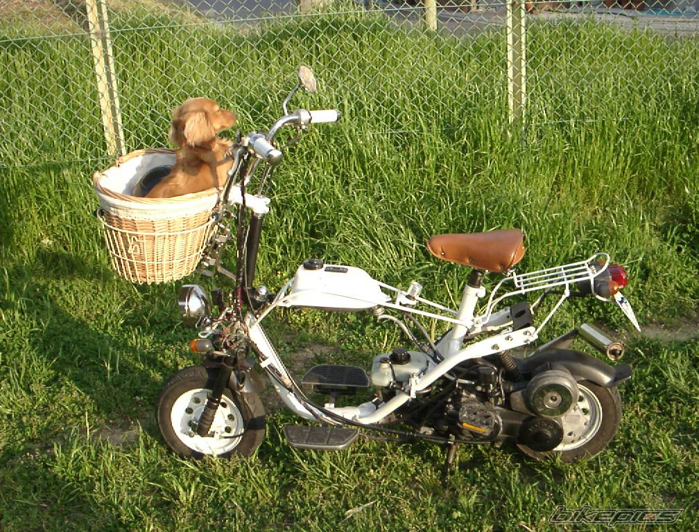 Bike Photo 545887