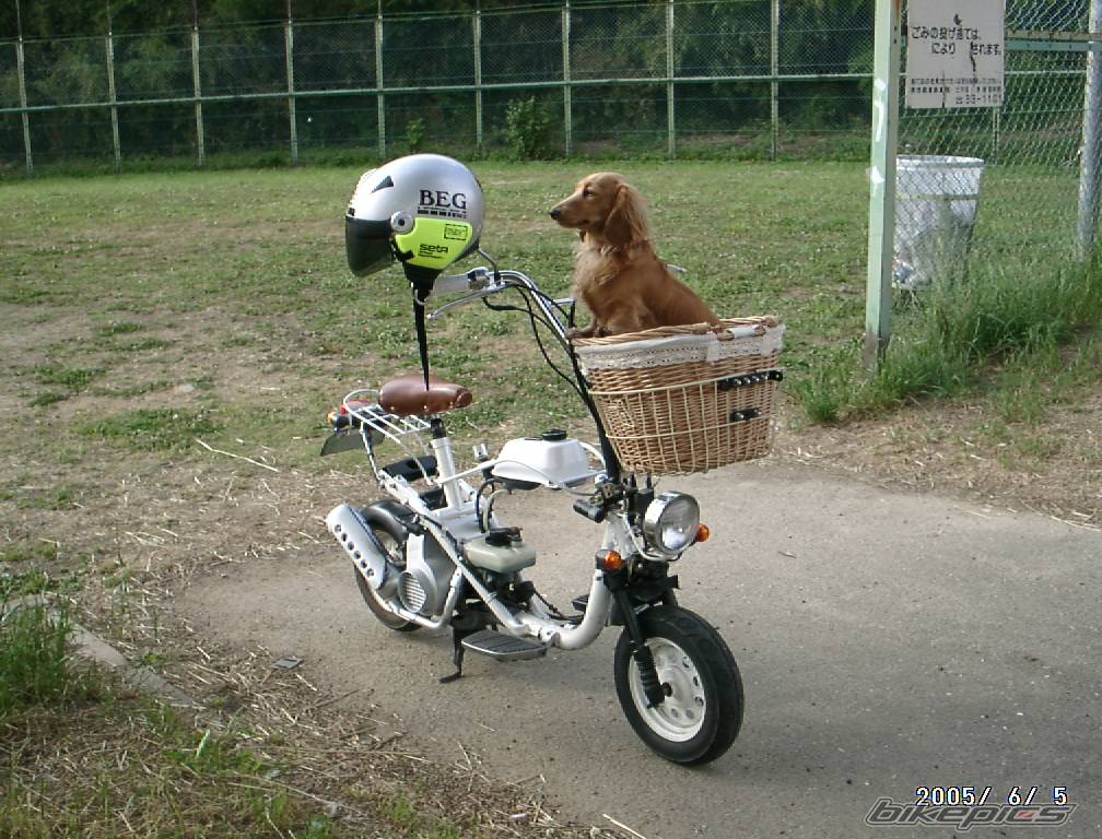Bike Photo 545888