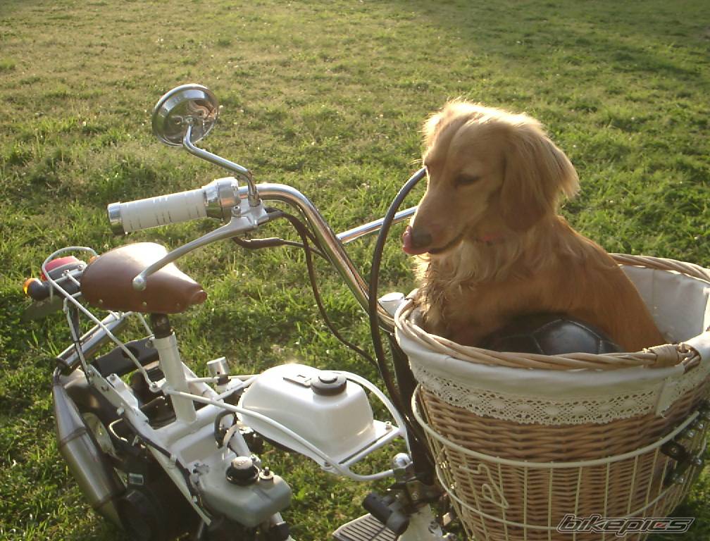 Bike Photo 545889