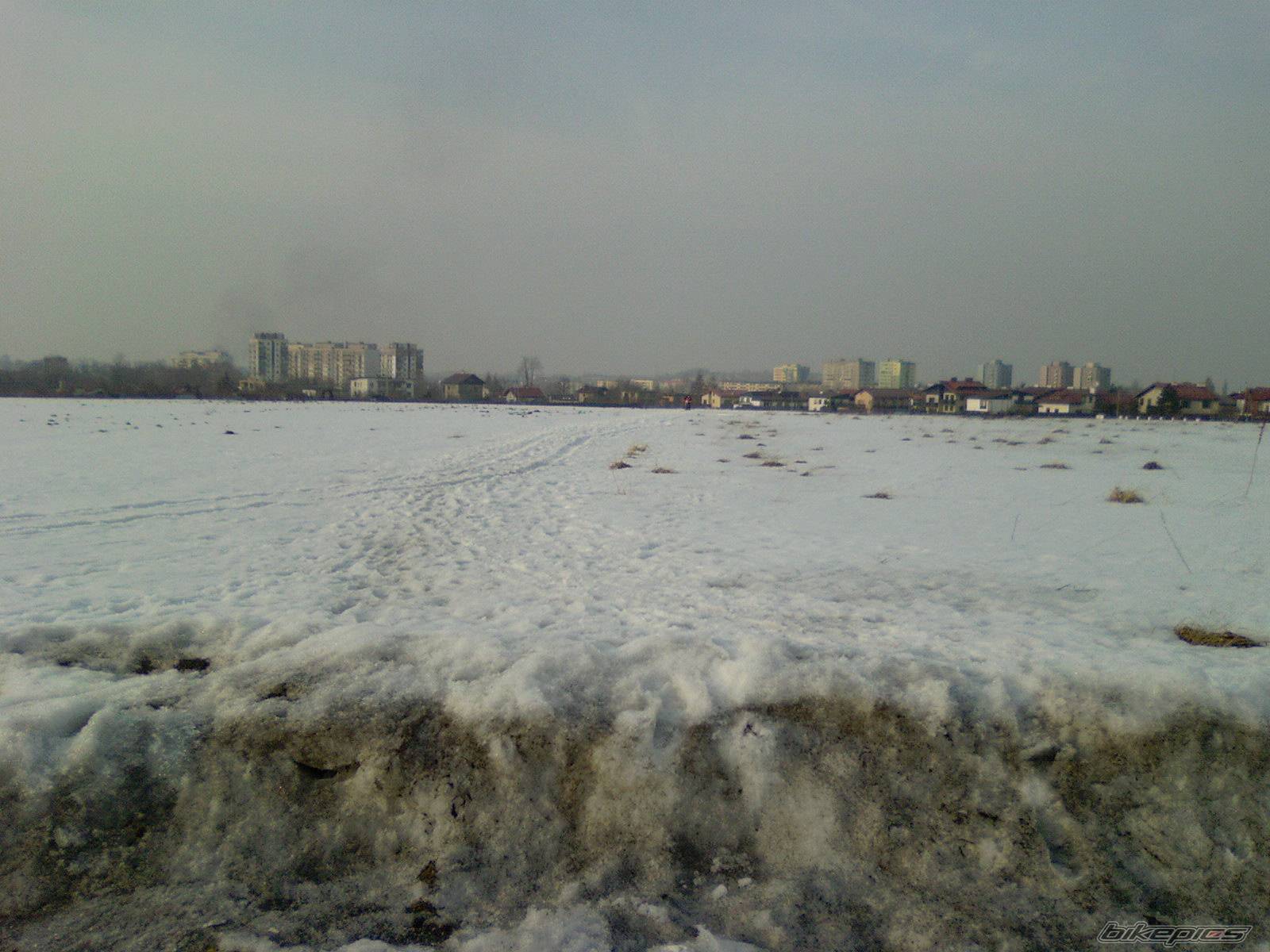 Photo 545909