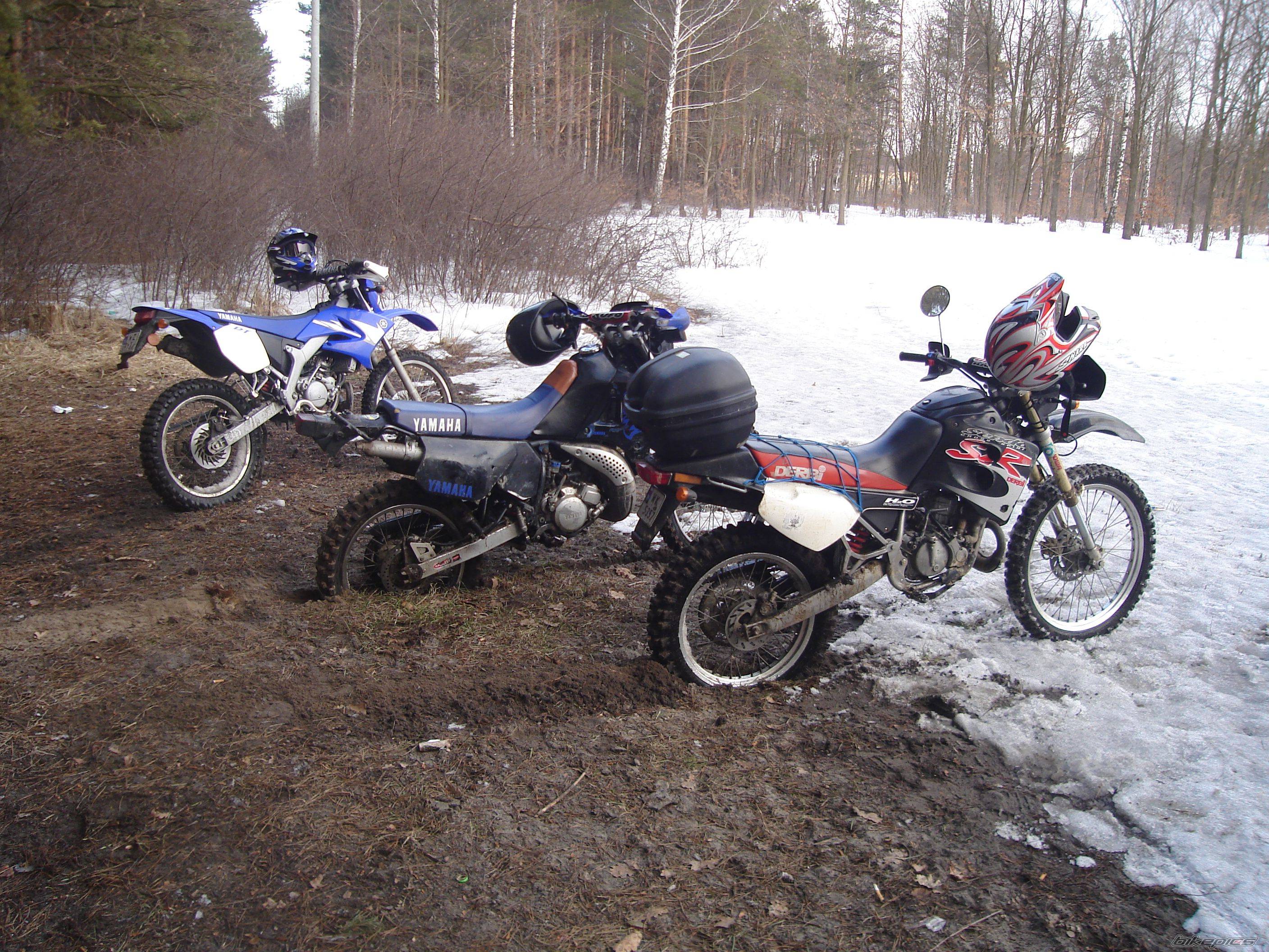 Photo 545921