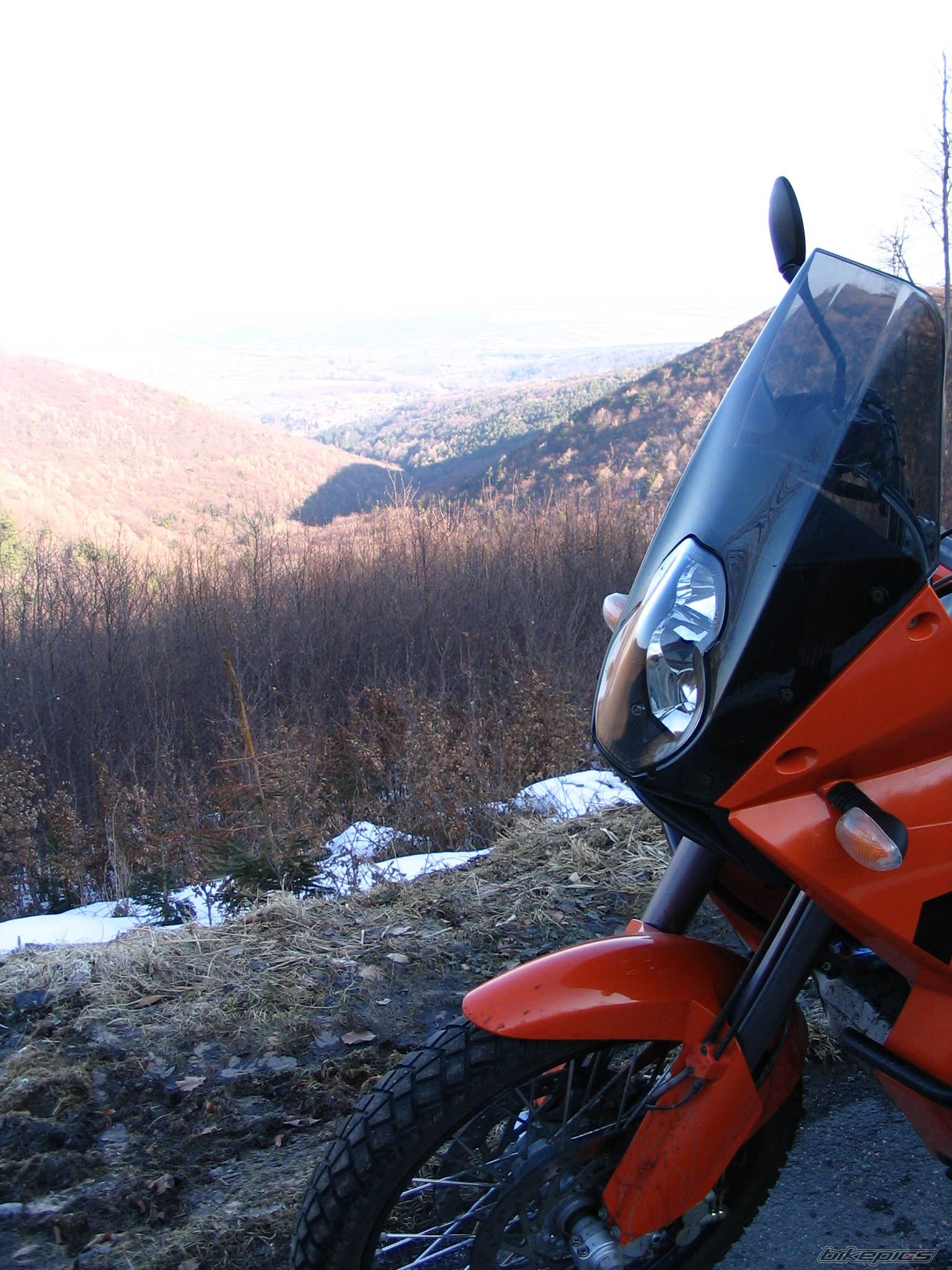 Bike Photo 545939