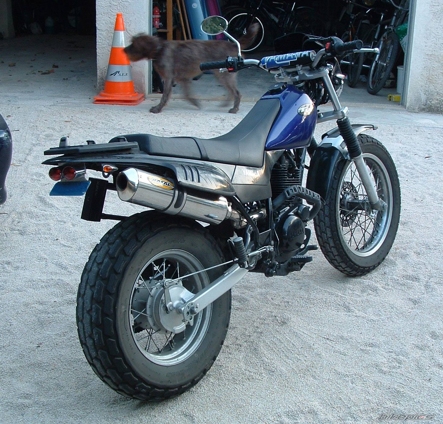 Bike Photo 546141