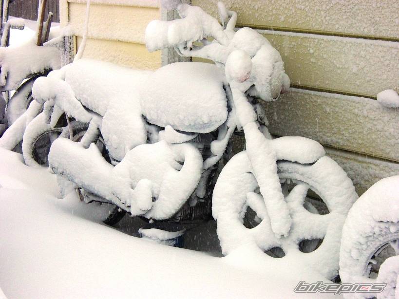 Bike Photo 546611
