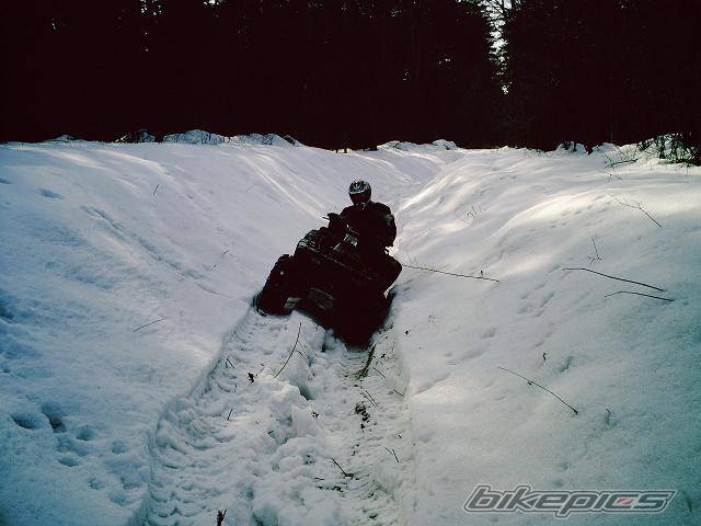 Photo 546633