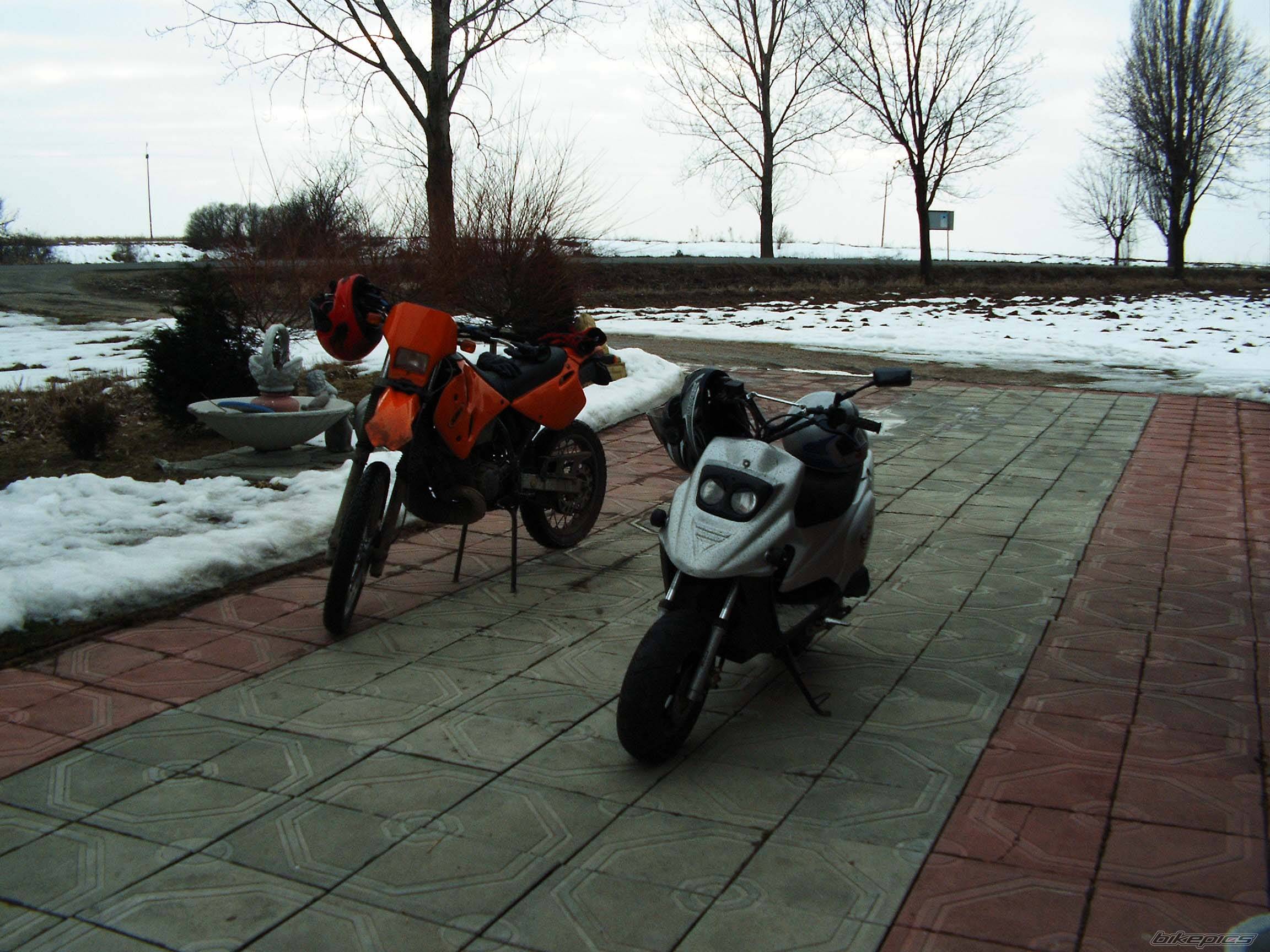 Photo 546694