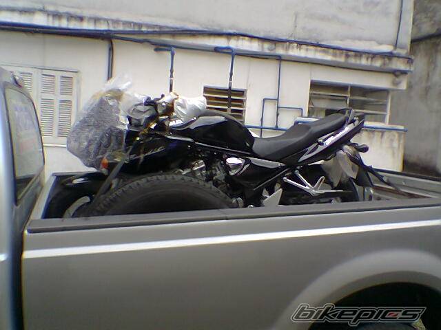 Photo 546861