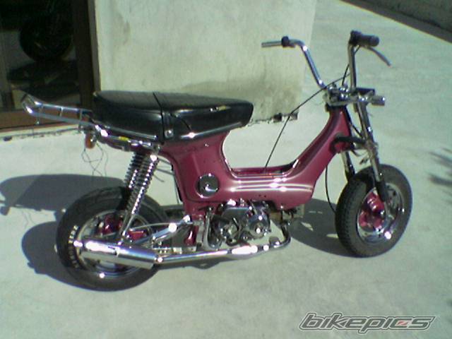Bike Photo 547385