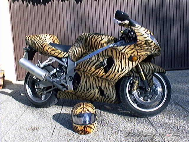 Bike Photo 54767