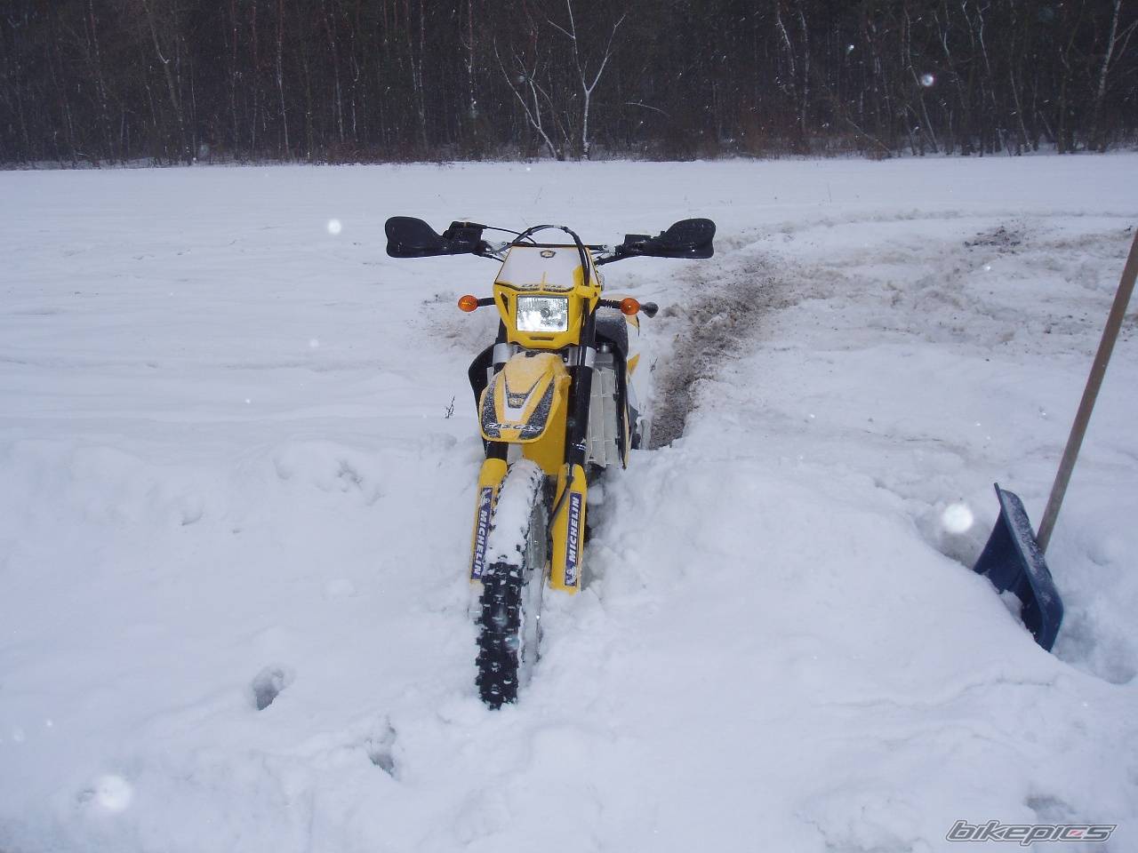 Photo 547871
