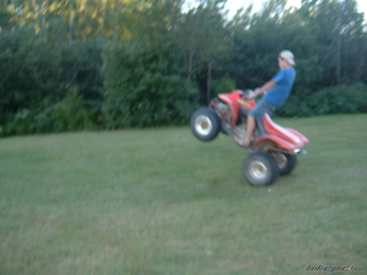 Photo 548039