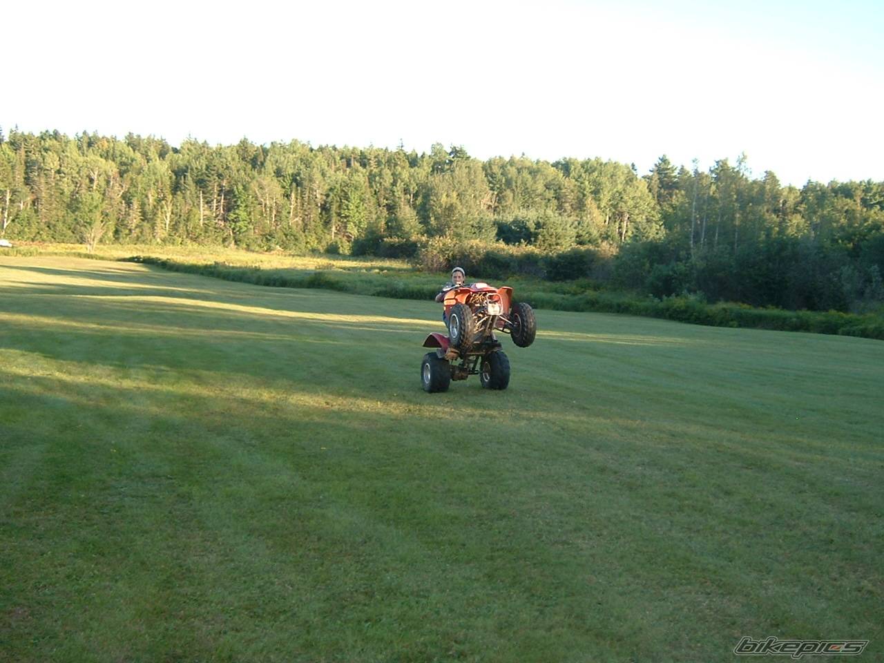 Photo 548041