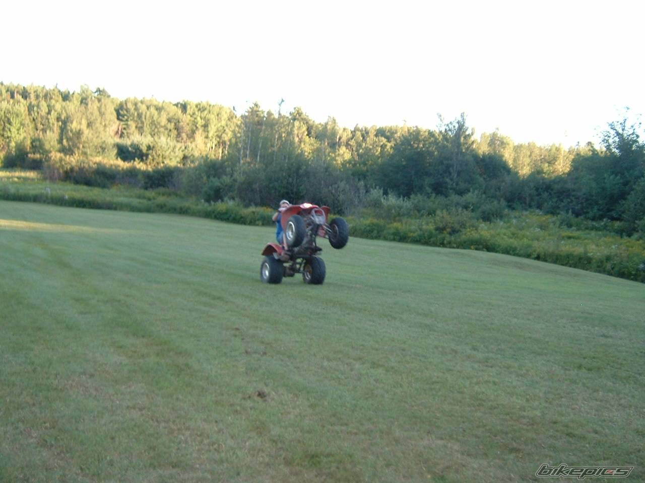 Photo 548045