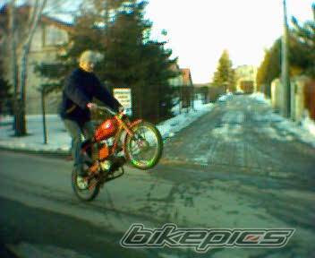 Photo 548358