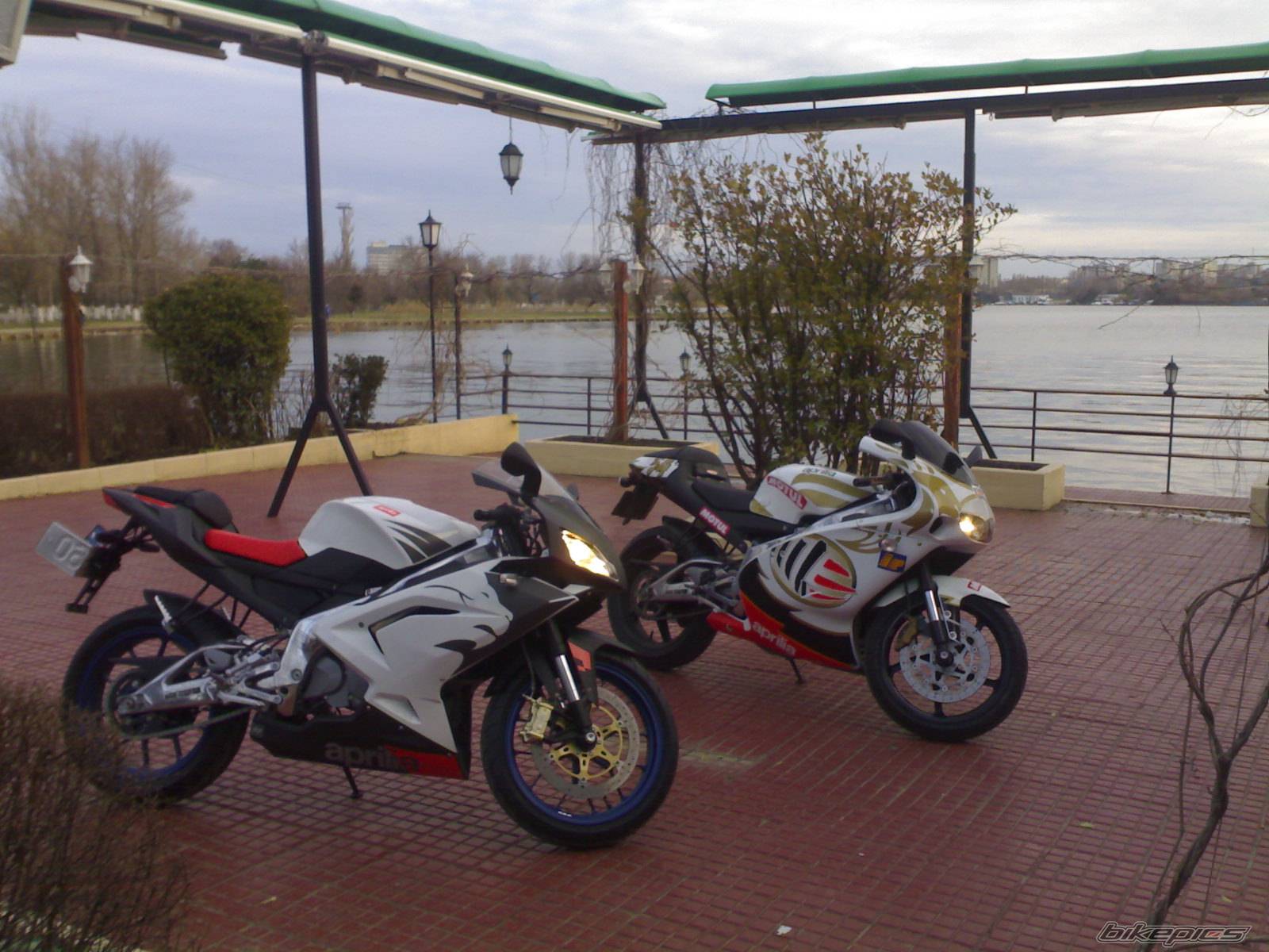 Bike Photo 548500