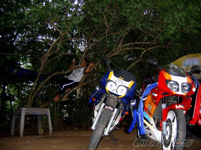 Bike Photo 549090
