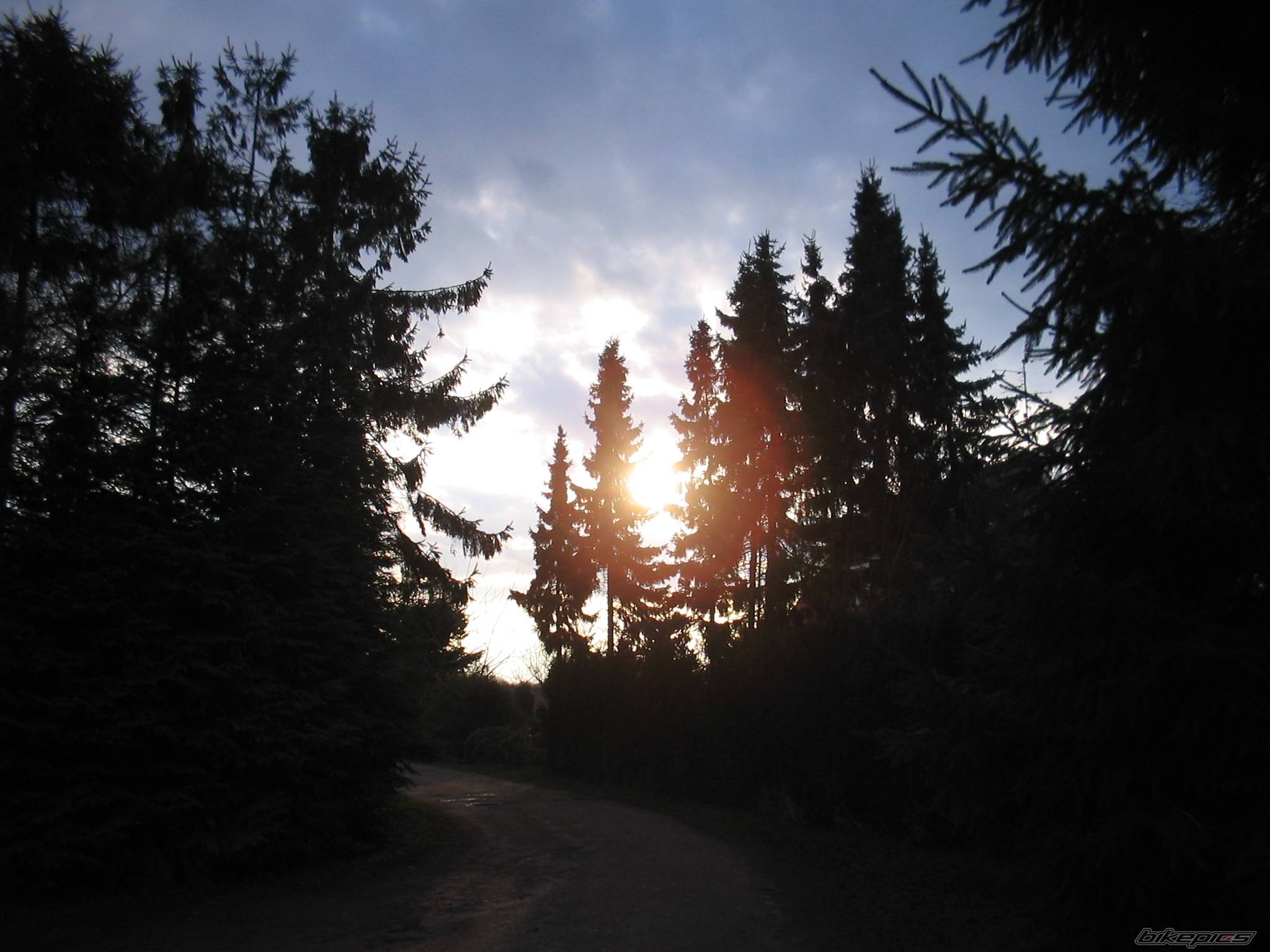 Photo 549318