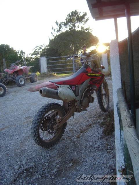 Photo 549444