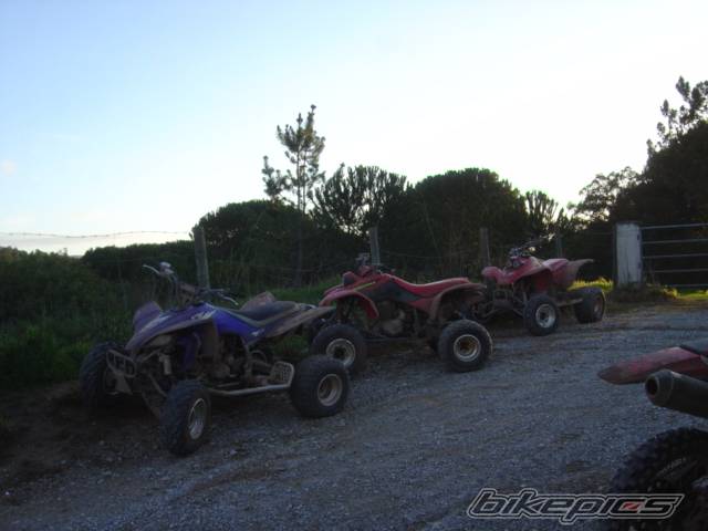 Photo 549447