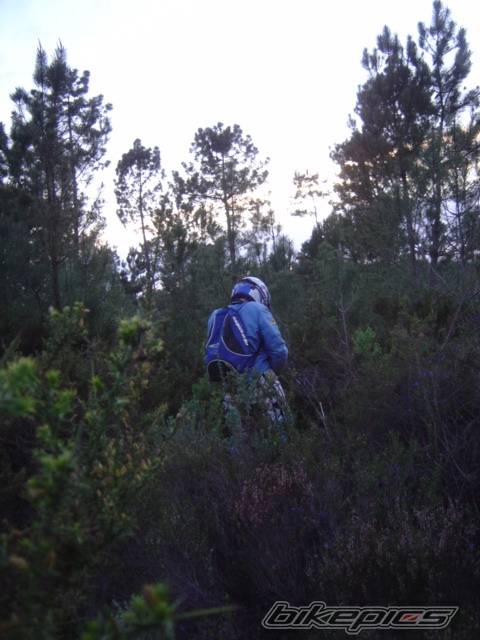 Photo 549463