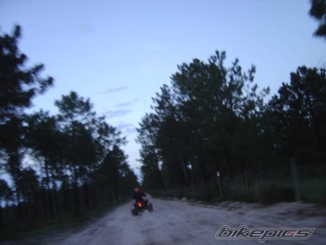 Photo 549480