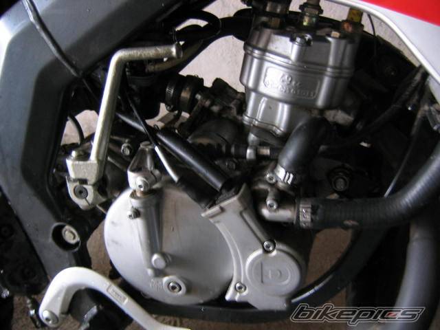 Bike Photo 549618