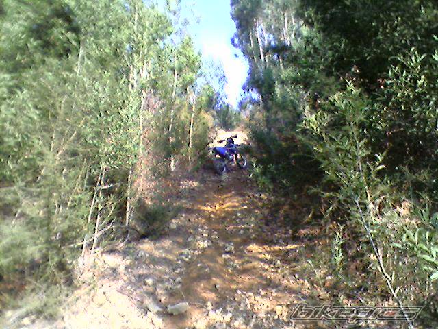 Photo 549697