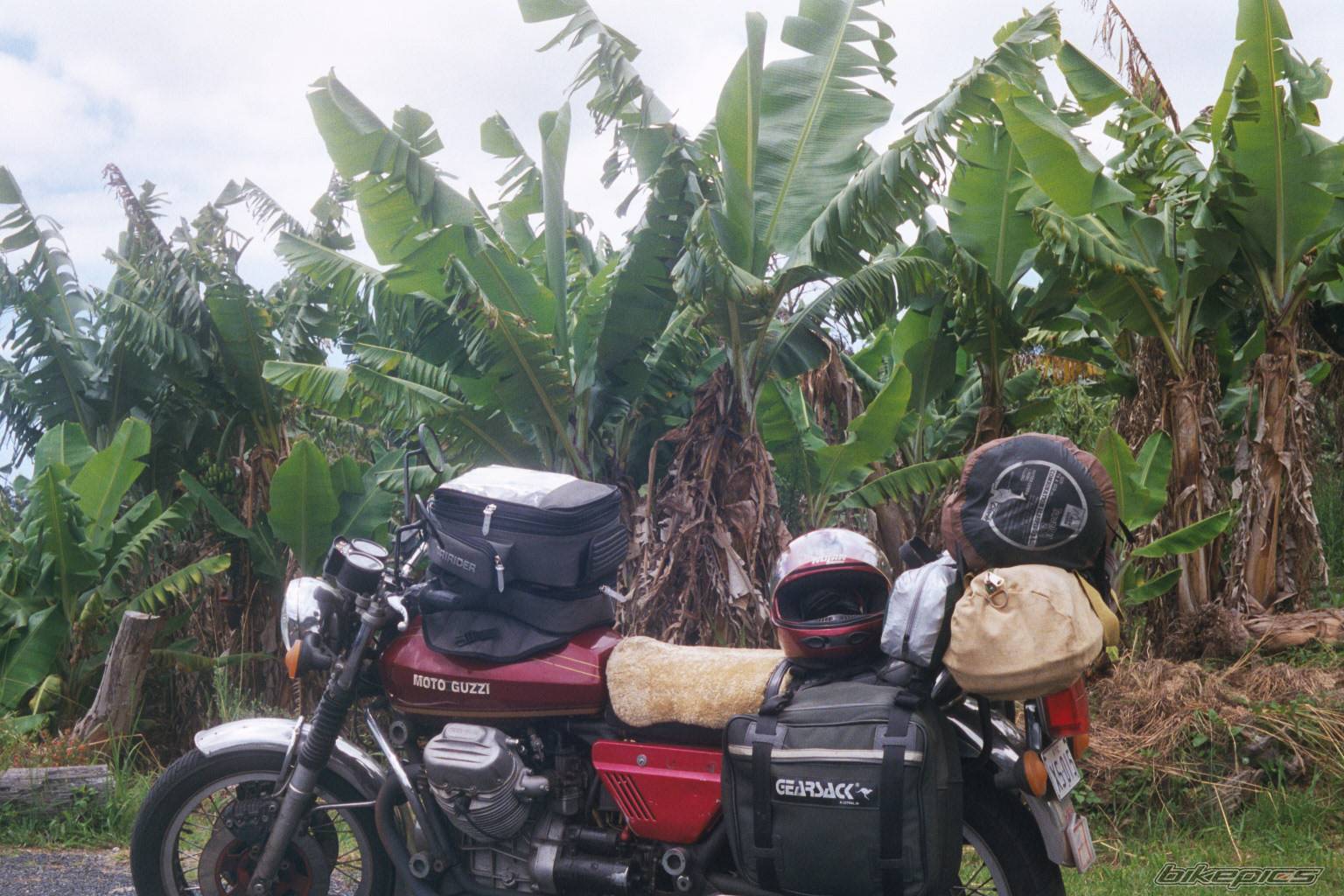 Bike Photo 54984