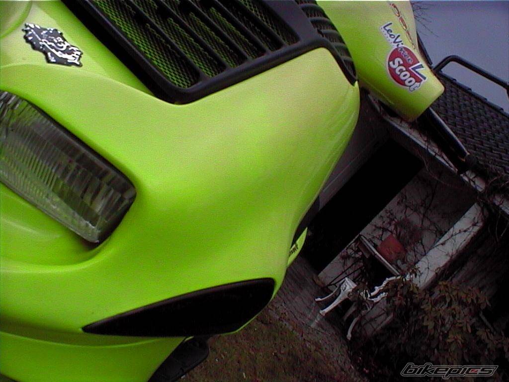 Photo 550261