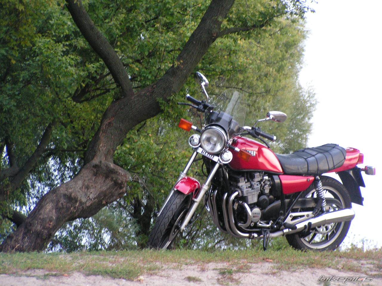 Bike Photo 550296