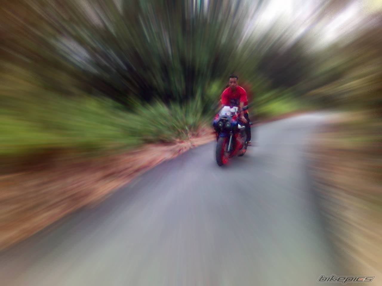 Bike Photo 550604