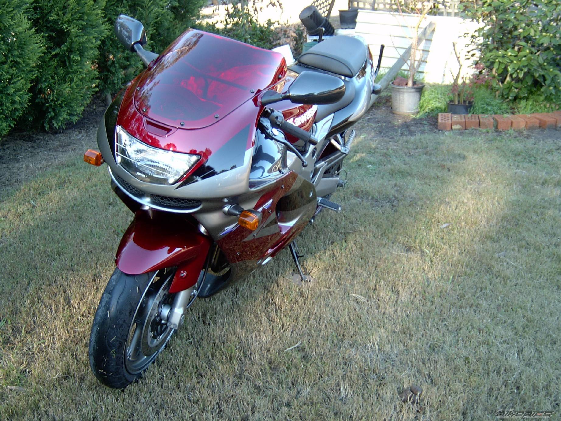 Photo 550729