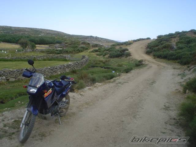 Bike Photo 550968