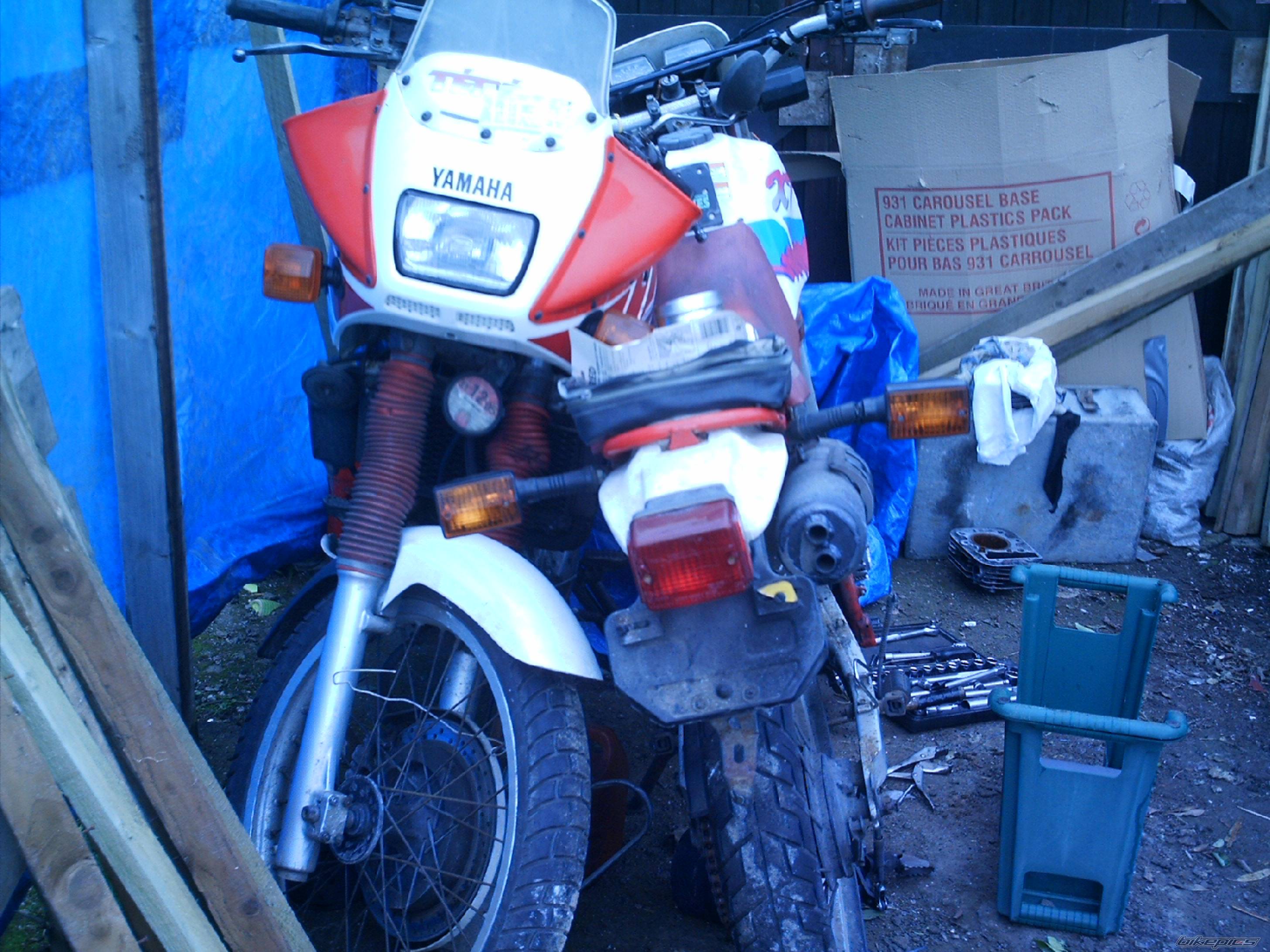 Photo 551442