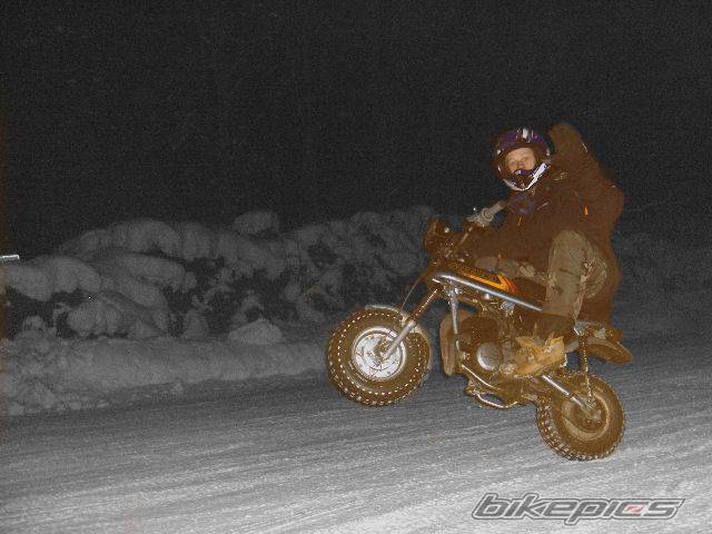 Photo 551918