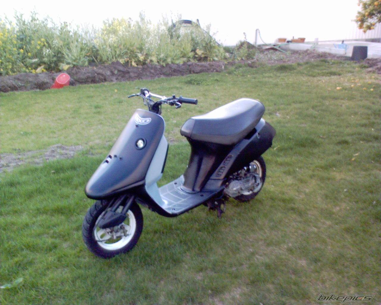 Bike Photo 552179