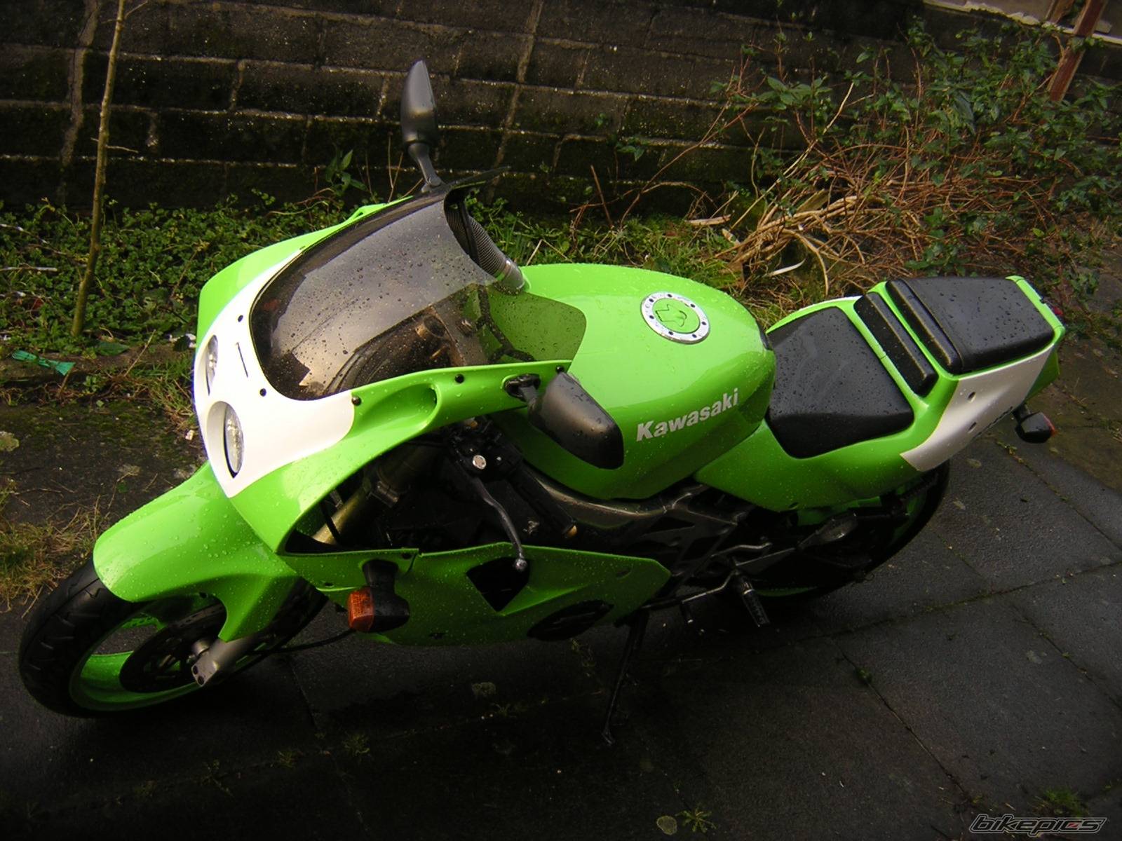 Photo 552623