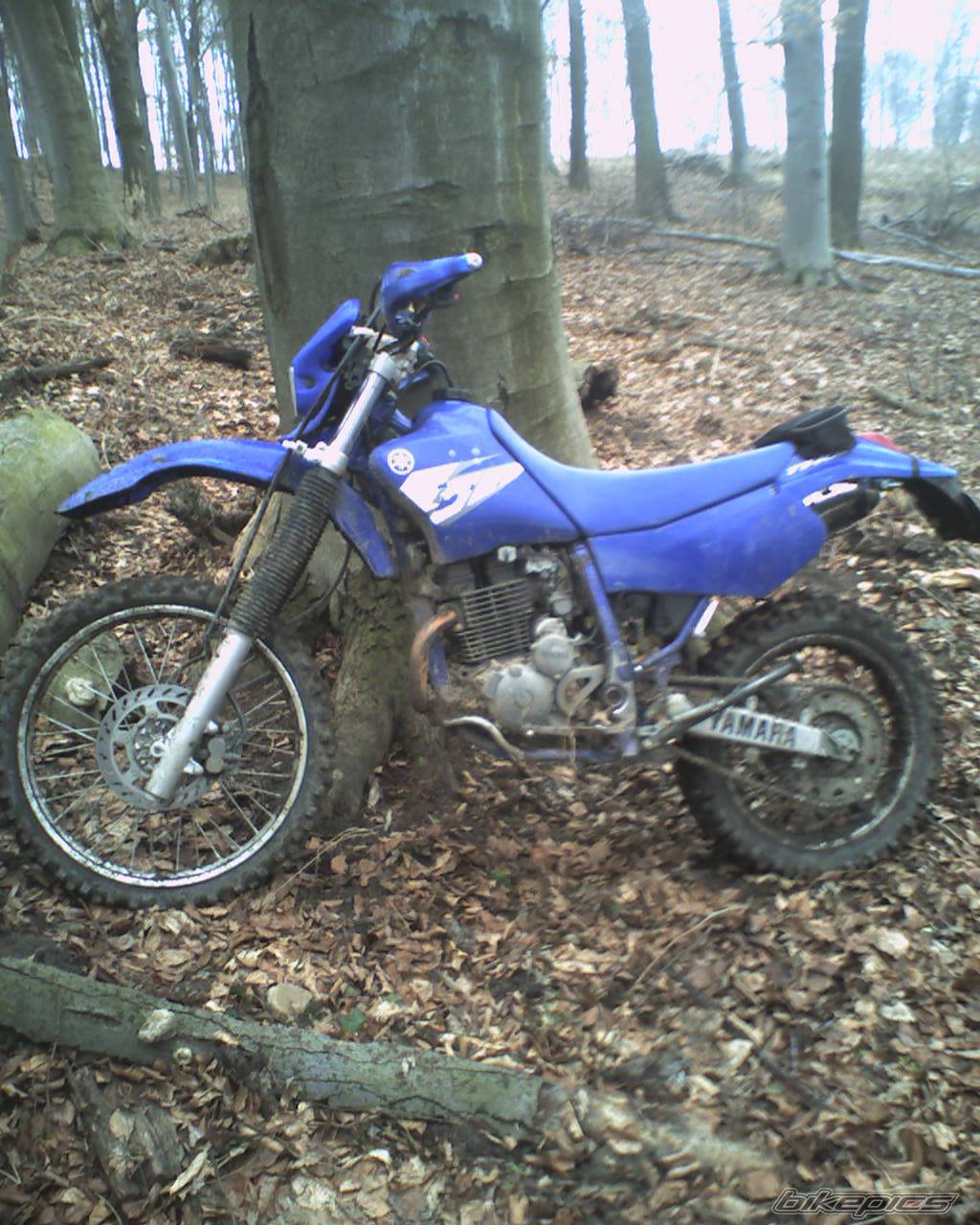 Bike Photo 552853