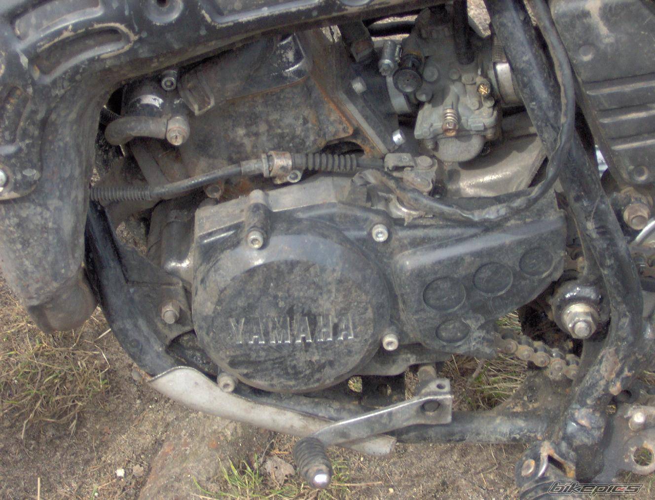 Bike Photo 553476