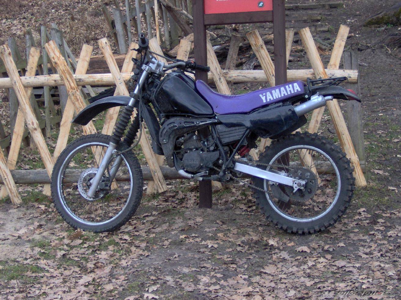Bike Photo 553493