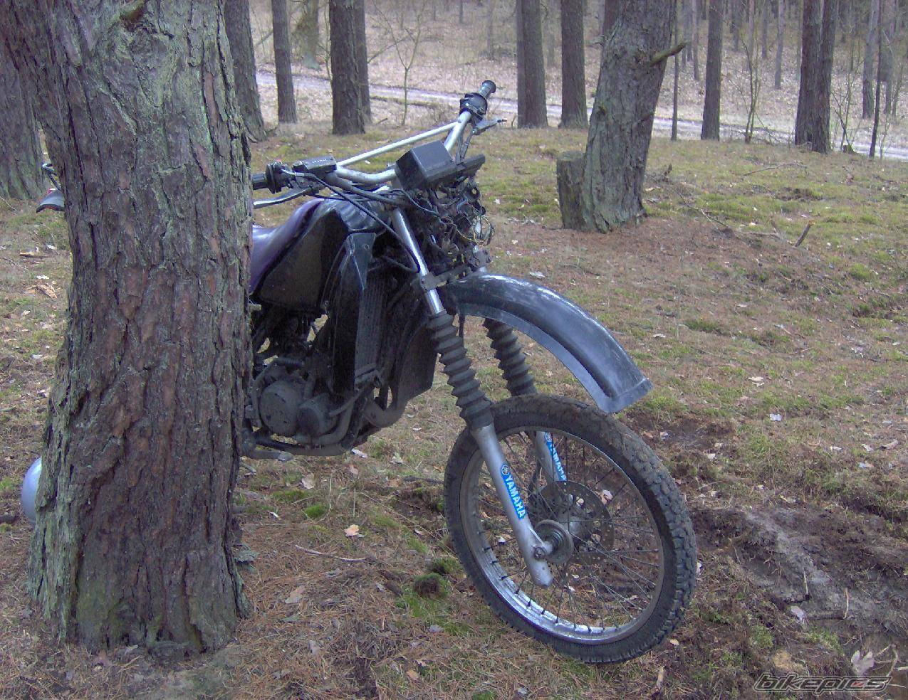 Bike Photo 553509