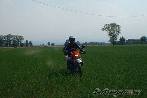 Bike Photo 55403