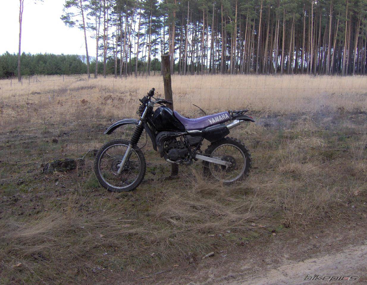 Bike Photo 554434