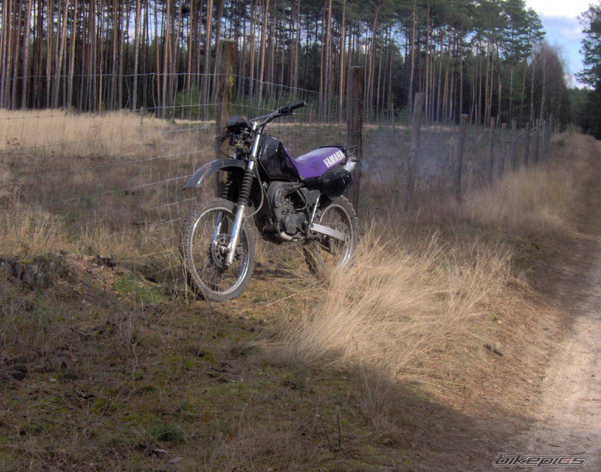 Bike Photo 554435