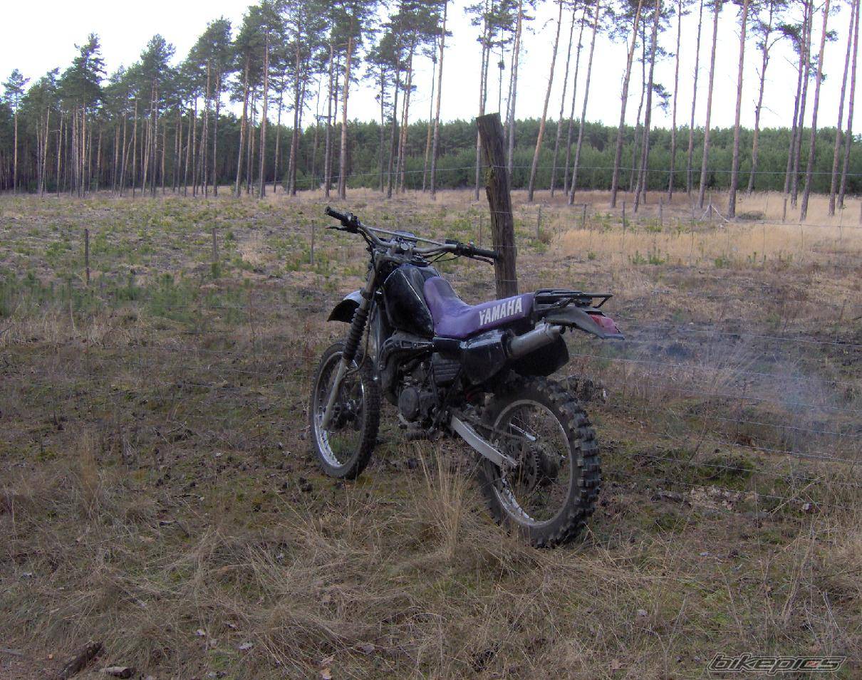 Bike Photo 554436