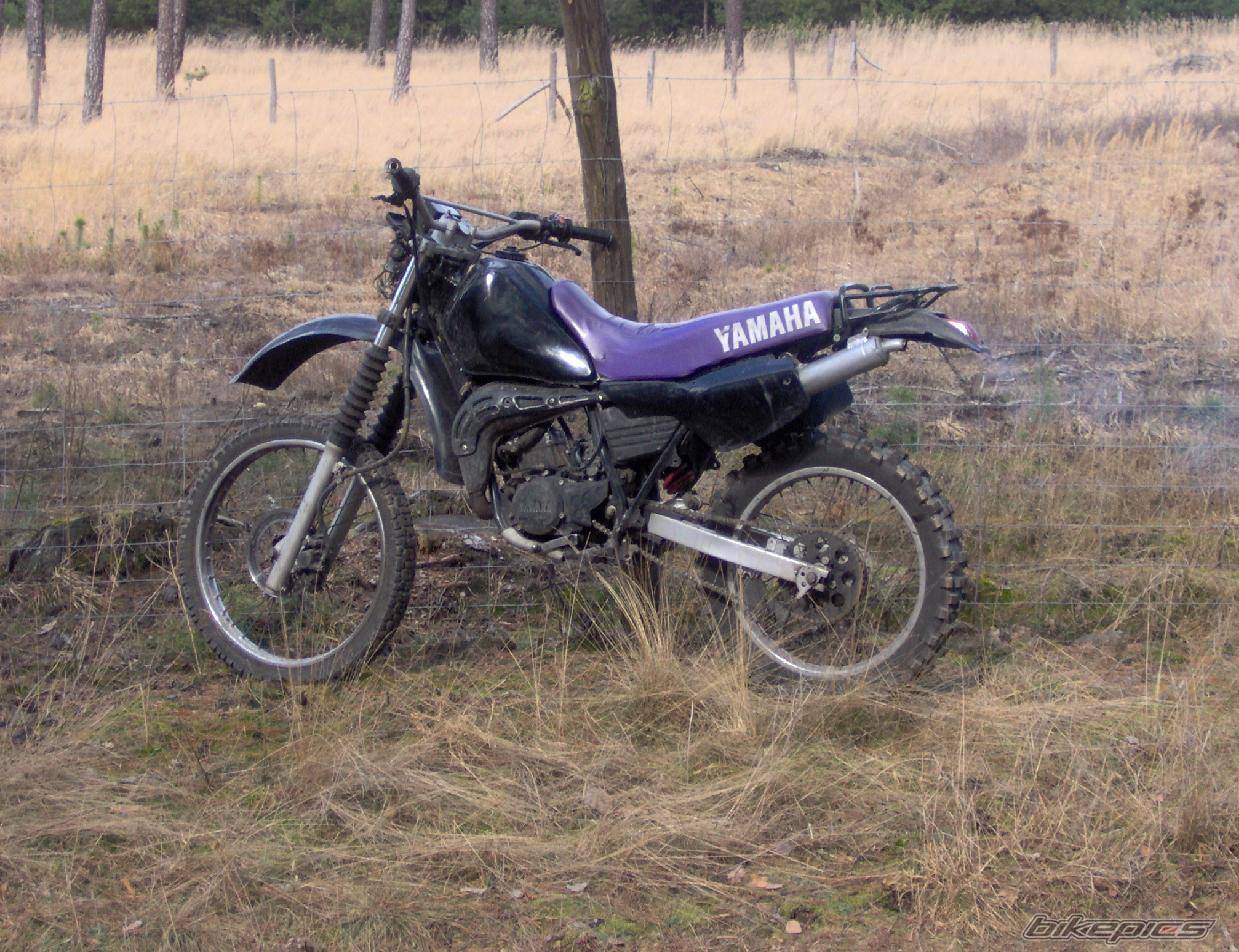 Bike Photo 554437