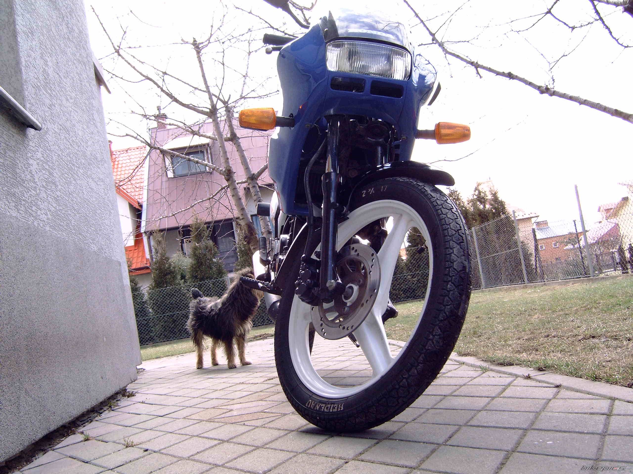 Bike Photo 554449